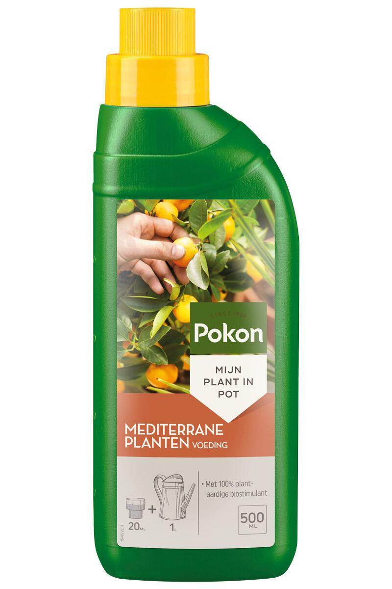 Pokon Mediterrane Pflanzennahrung 500 ml – Flüssigdünger für Olivenbaum, Zitronenbaum &amp; Co. – Kräftiges Wachstum &amp; reiche Blüte