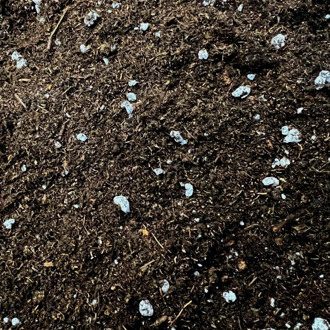 Culvita Anthurium- &amp; Farnerde – 5 Liter – Spezialerde für Anthurien, Farne &amp; tropische Zimmerpflanzen