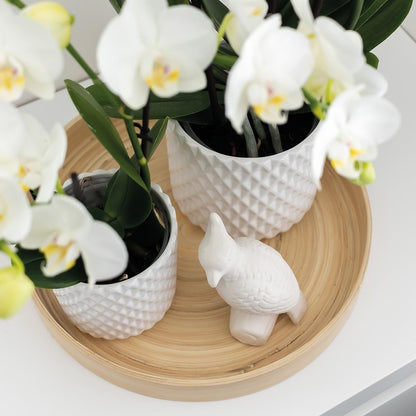 Ornament - Deko-Skulptur Kakadu - White