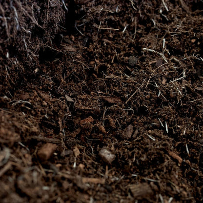 Culvita Universal Blumenerde – 40 Liter – Premiumerde für Innen- &amp; Außenpflanzen mit 2 Monate Pflanzennahrung