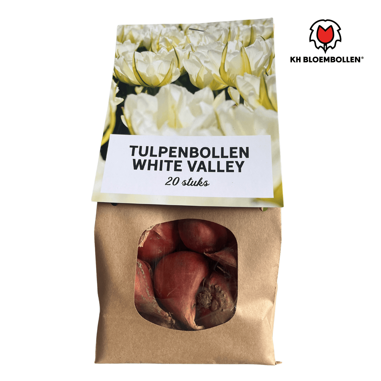 White Valley Tulpen – 20 Zwiebeln | Weiße gefüllte Blüten