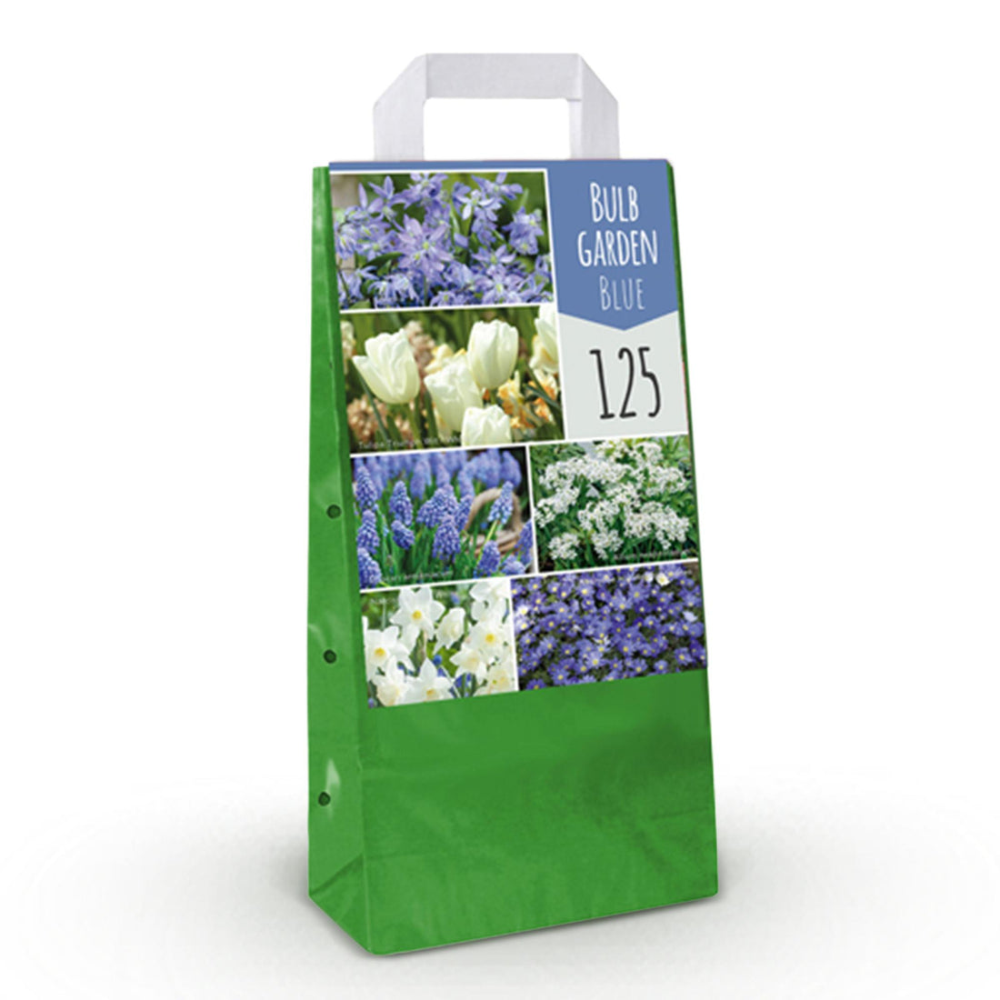 Blumenzwiebeln Bulb Garden Blue Mix | 125 Stück Blautöne – Geschenkverpackung