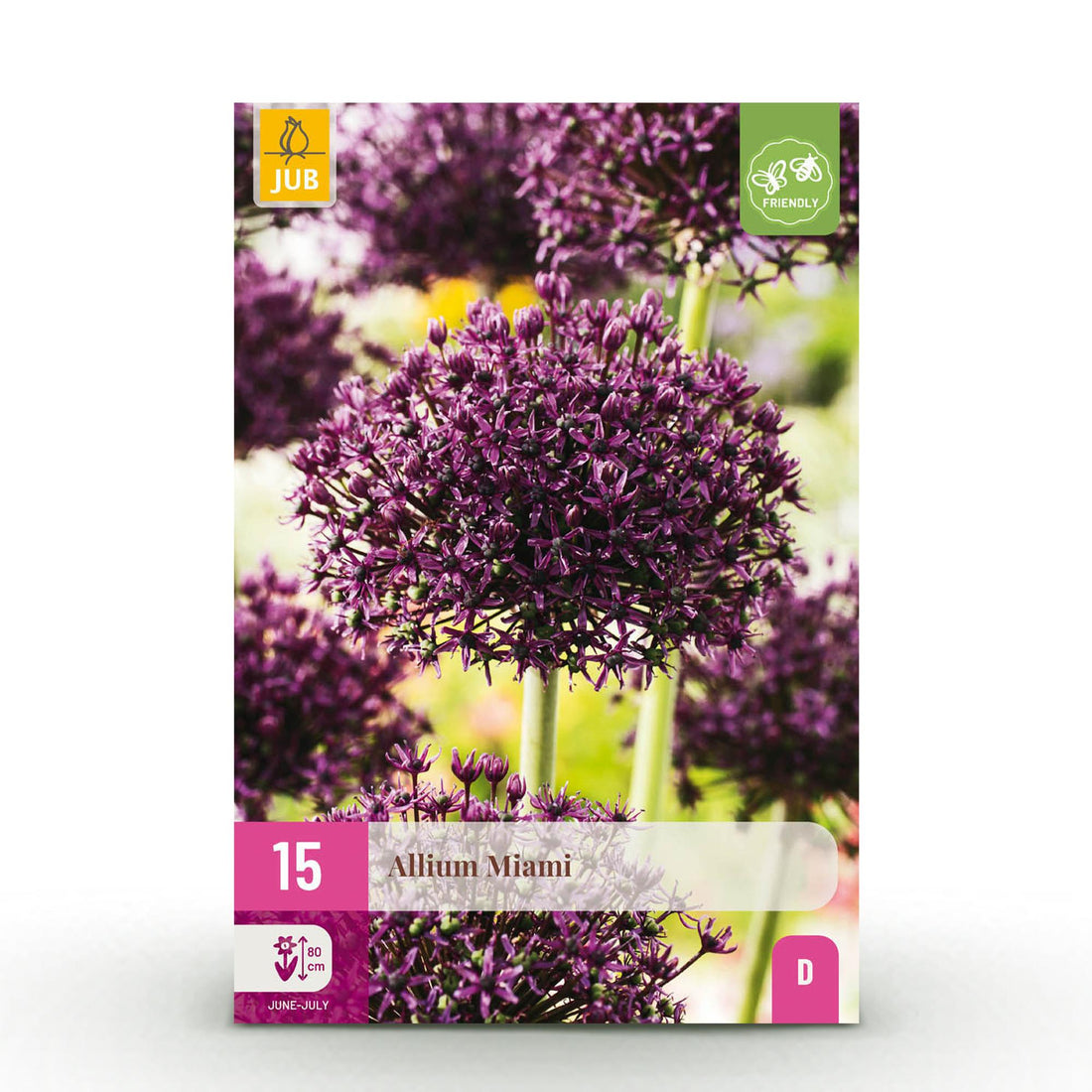 Allium Miami Blumenzwiebeln | 15 Stück Lila – Zwiebelgröße 10/11 – XXL Pack
