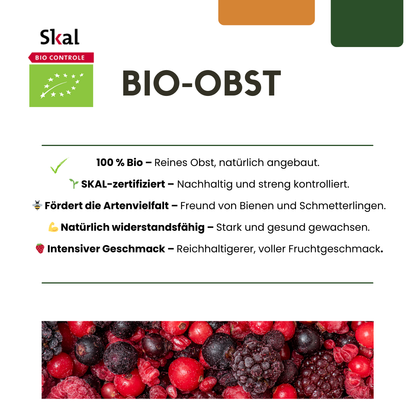 3 x Bio-Joahnnesbeerstrauch – Ø 13 cm – ↨ 20 cm